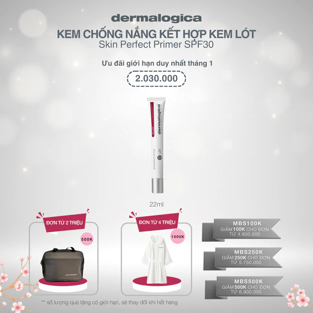 Skinperfect Primer SPF30